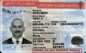New $1,000 Advance Parole Fee A sample U.S. Employment Authorization Card showing a photo, cardholder details, and a red banner stating "SERVES AS I-512 ADVANCE PAROLE.