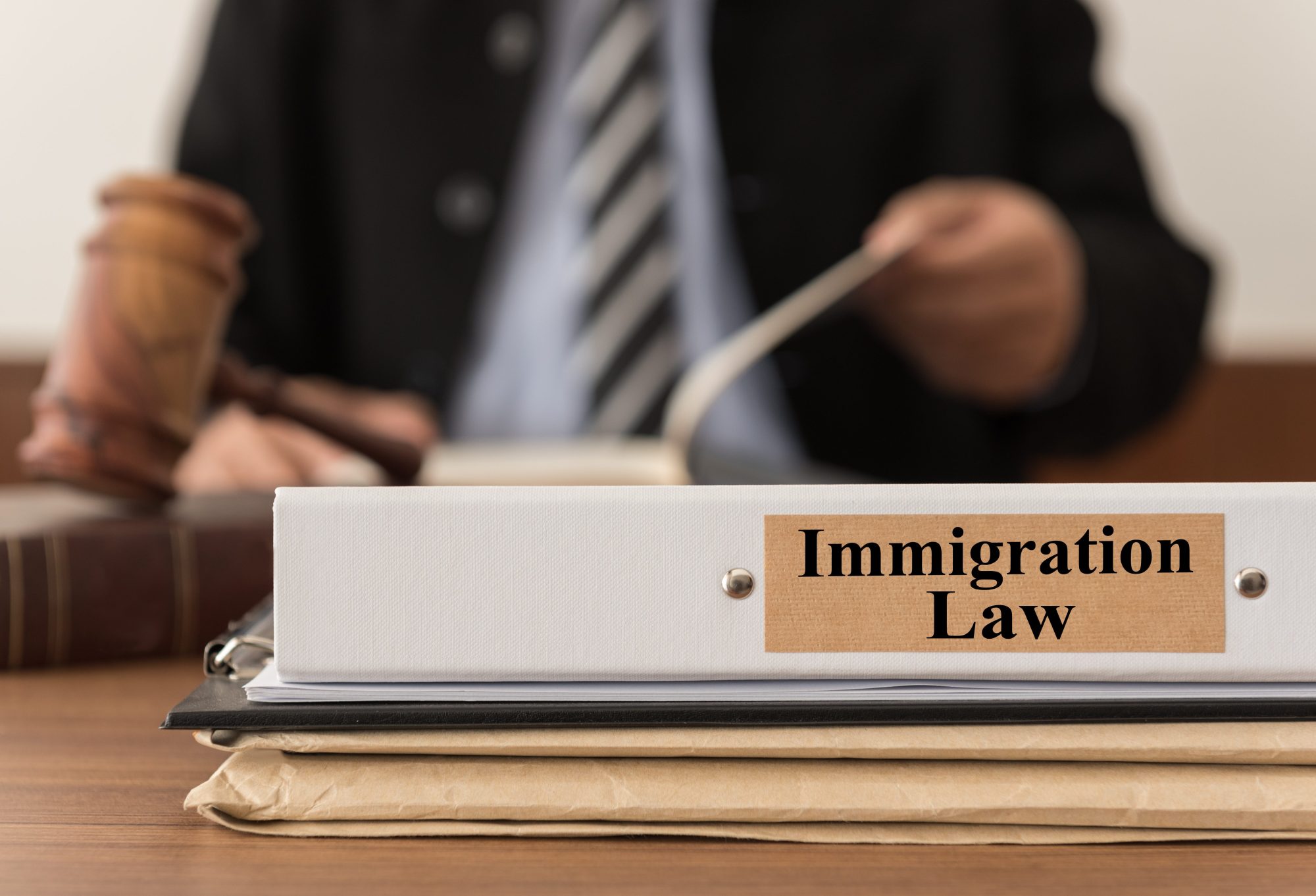 The Ins and Outs of Immigration Bonds