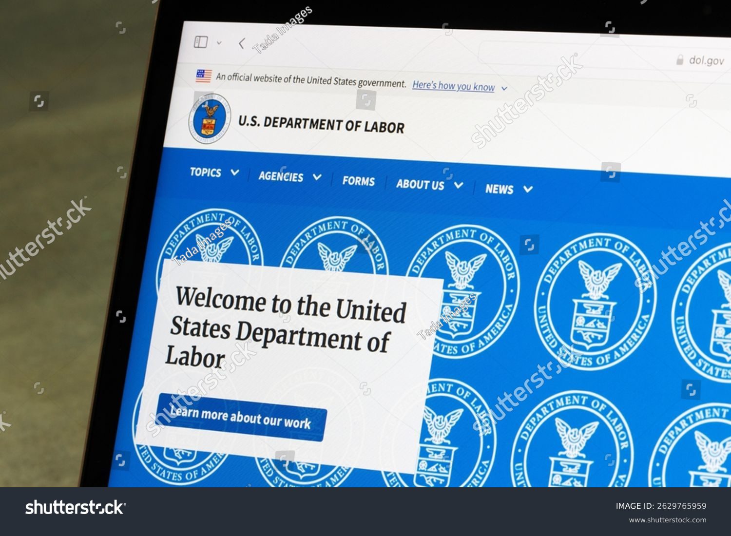 USCIS Issues Potential Safeguard Against Delayed Filings Due to the Ongoing Government Shutdown